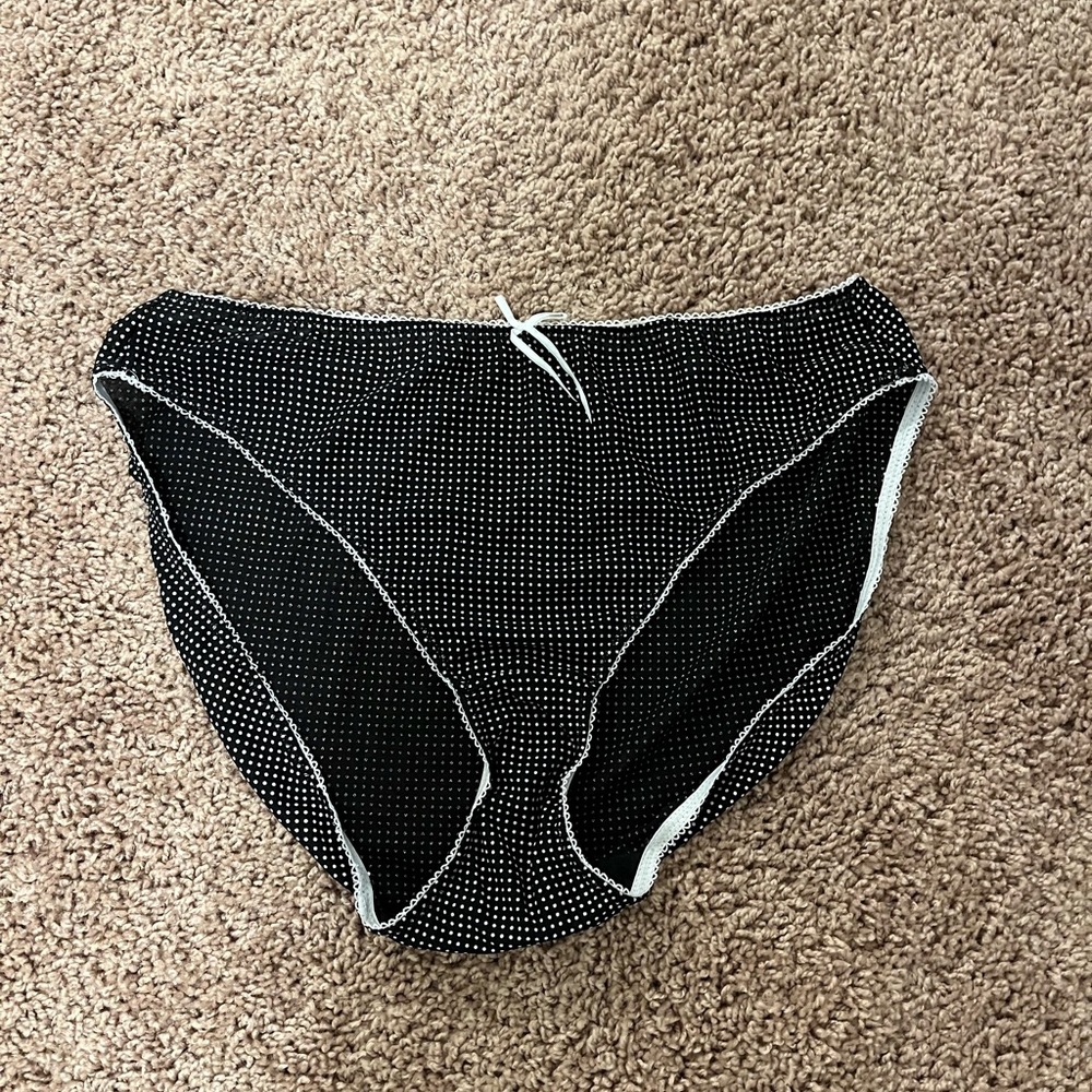 NWOT Intimate Classics Brief Panties Size 10